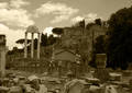 Le Forum antique - Roma (2006)