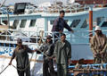Retour de pêche - Hurghada (2007)
